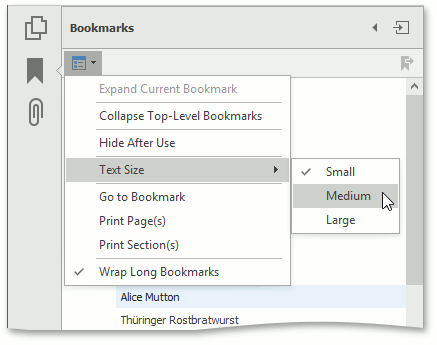 RuntimeBookmarkOptions