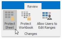 Spreadsheet_Review_ProtectSheet